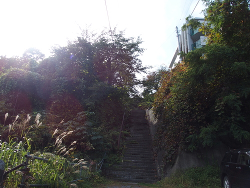 f0027355_2324880.jpg
