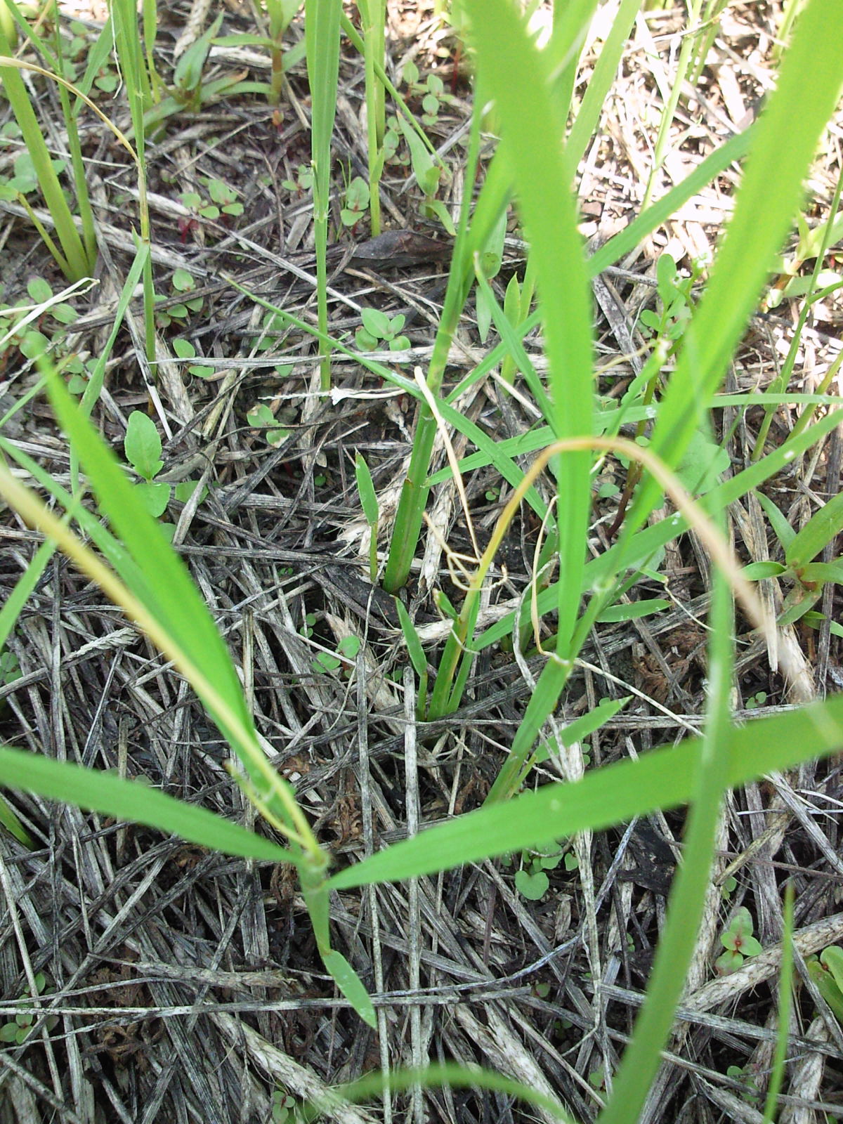 b0139862_17344996.jpg