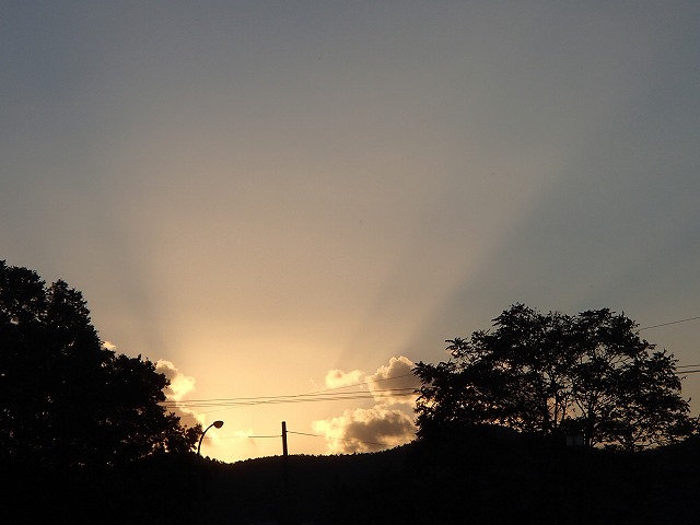 b0044663_1611523.jpg