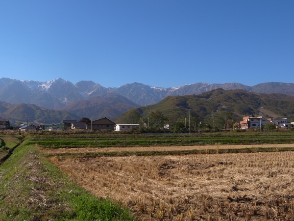 c0166668_1058543.jpg