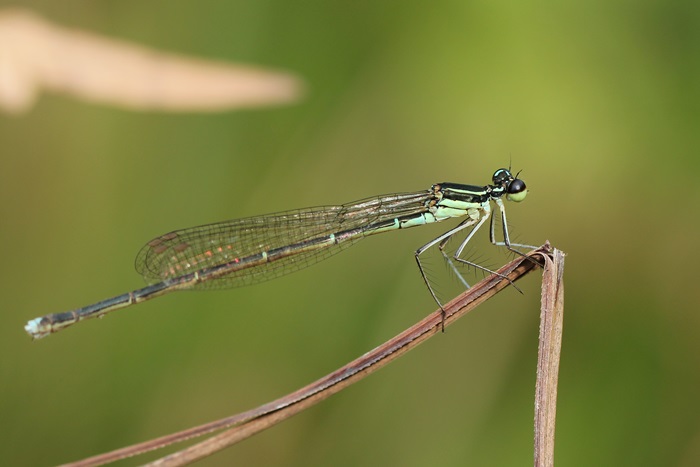b0088772_2165987.jpg