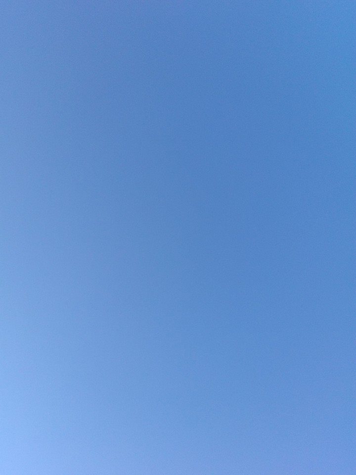 f0053077_1342933.jpg