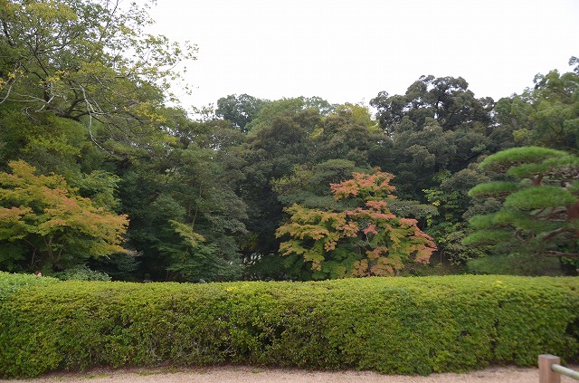 a0185880_11504471.jpg