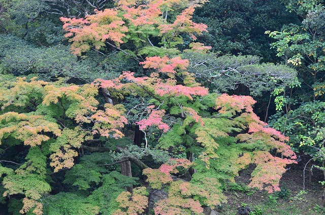 a0185880_11512750.jpg
