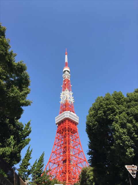 f0167281_1523910.jpg