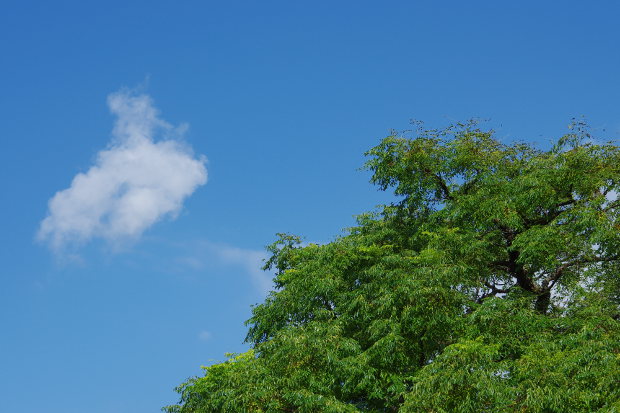 a0189883_22225850.jpg