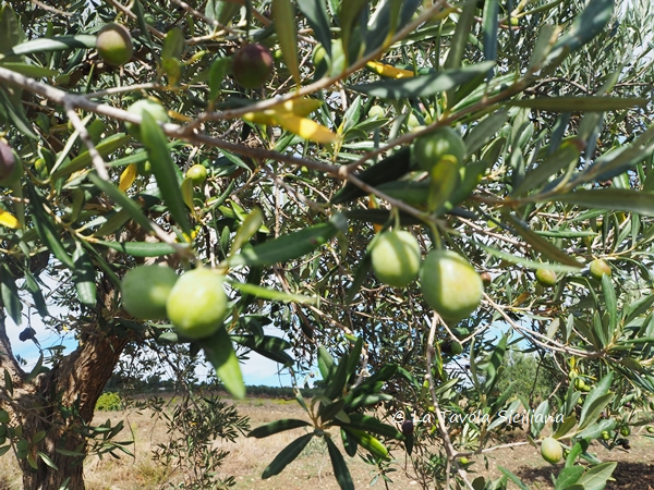 e0335287_057169.jpg