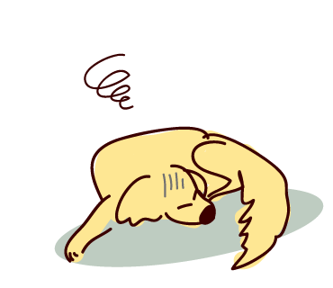 c0085188_1114830.png