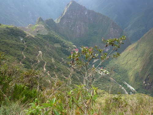 c0123890_2136425.jpg