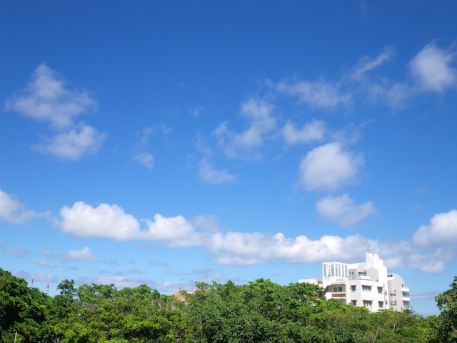 c0193396_1152891.jpg