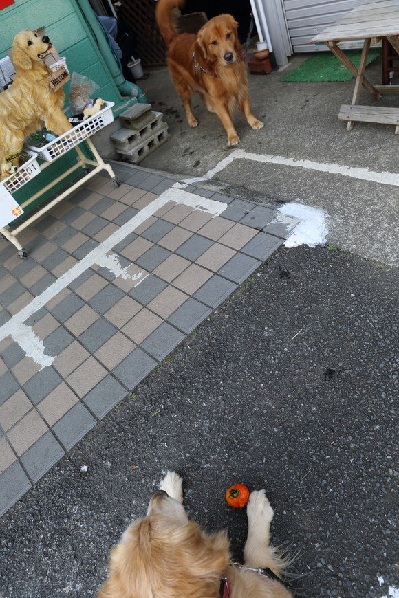 b0275998_1125429.jpg