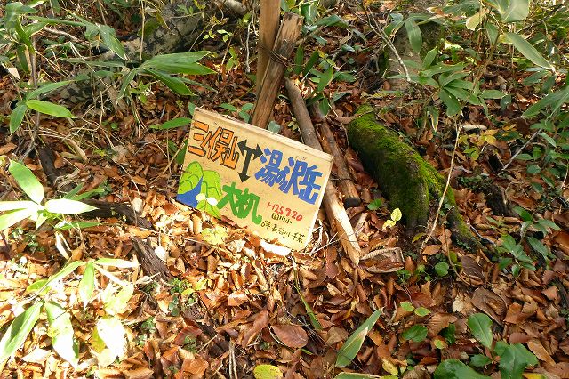 e0137200_22124550.jpg