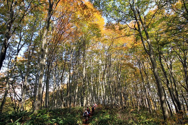 e0137200_22131774.jpg