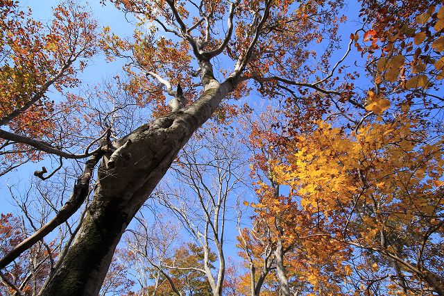 e0137200_229119.jpg