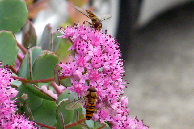 a0214206_14075469.jpg