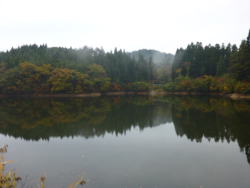 b0035611_2058164.jpg