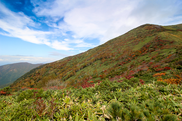 b0244811_23172759.jpg