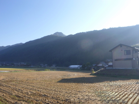 d0170615_9143367.jpg
