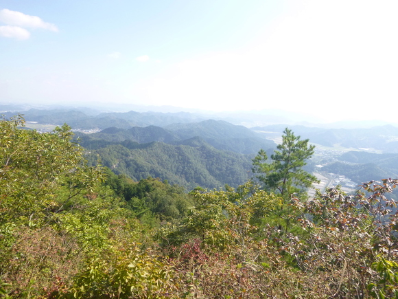 d0170615_917242.jpg