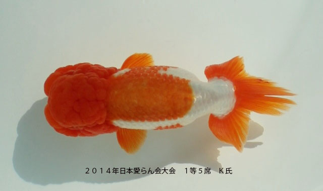 c0162817_13301174.jpg
