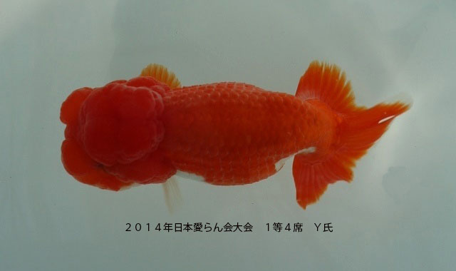 c0162817_13304580.jpg