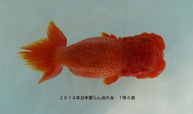 c0162817_1331897.jpg