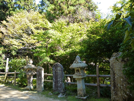 f0228619_025228.jpg