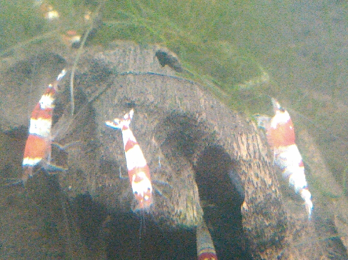 a0291521_16483080.jpg