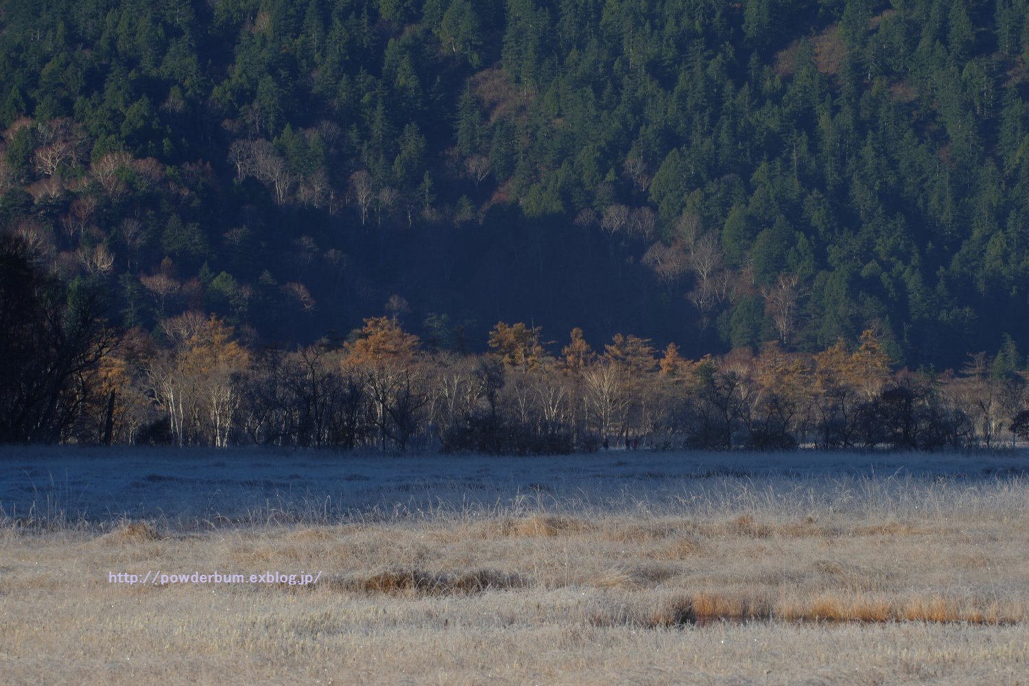 b0062024_2122217.jpg