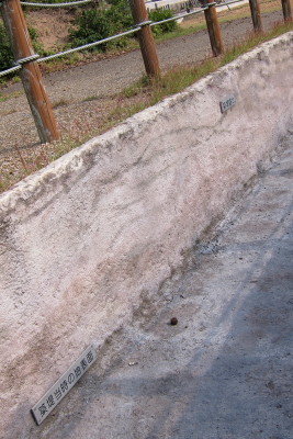 e0133025_21595693.jpg