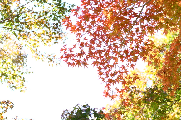 b0330432_00511159.jpg