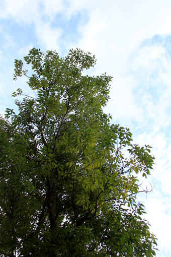 f0215833_21074989.jpg
