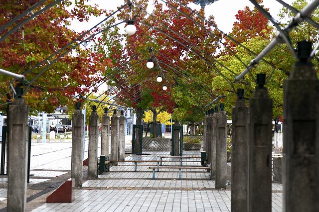 a0242438_19411232.jpg