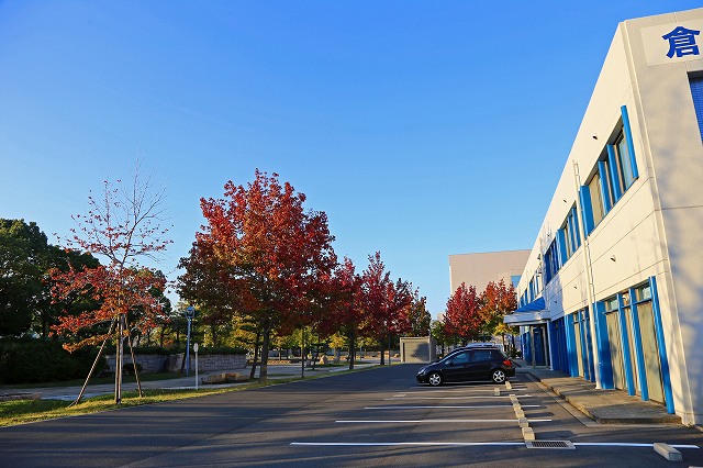 a0242438_19431944.jpg