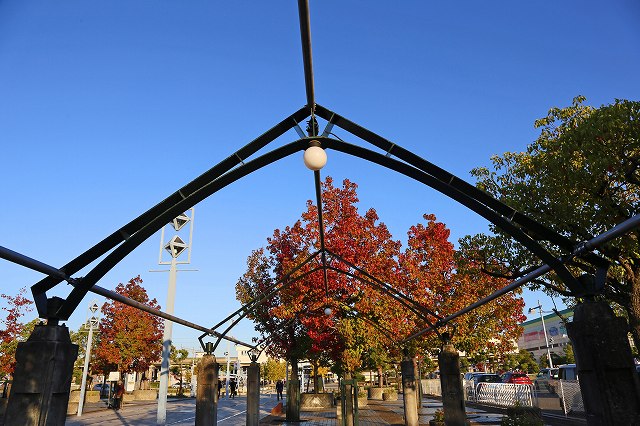 a0242438_1943575.jpg