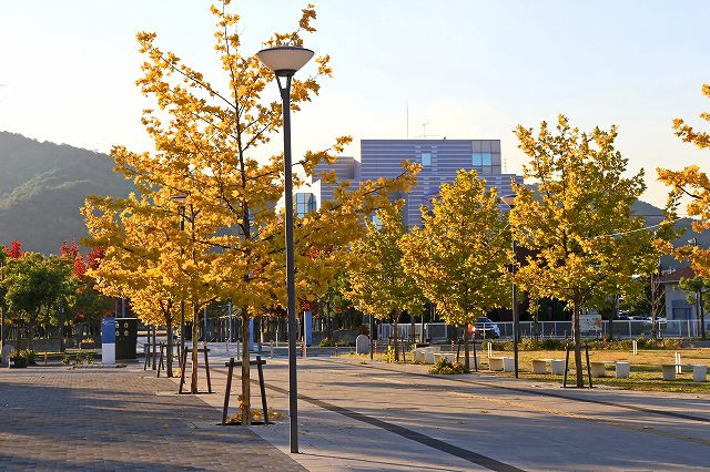 a0242438_19454948.jpg