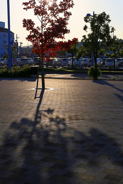 a0242438_1946739.jpg