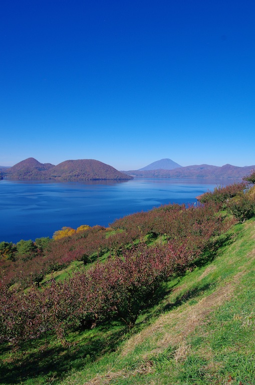 d0231339_21333080.jpg