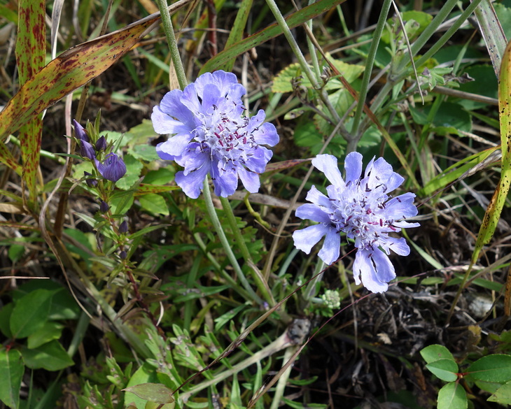 b0161750_1044457.jpg