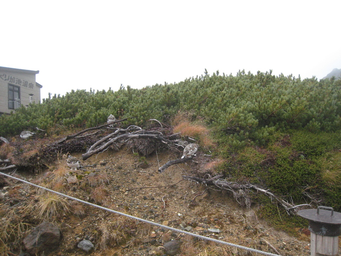 c0073152_1639531.jpg