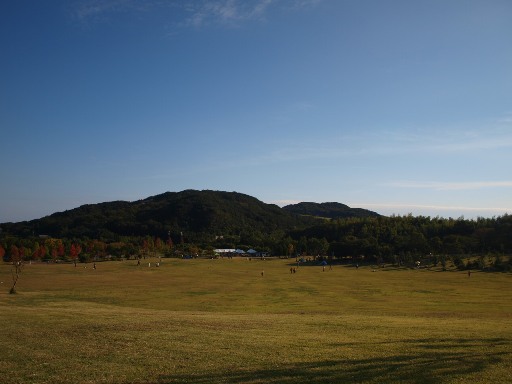 d0111558_22365652.jpg