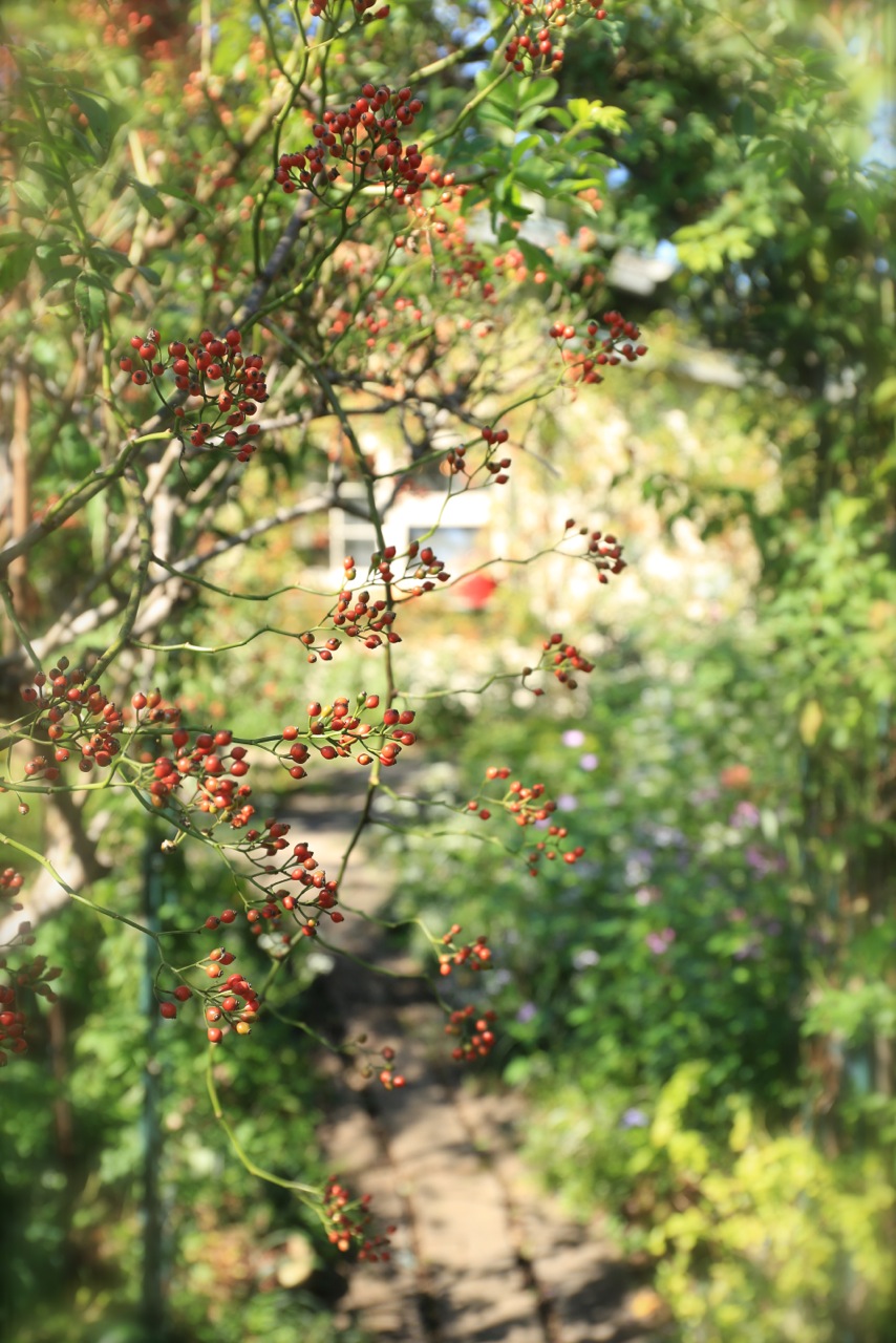 b0168859_8293660.jpg