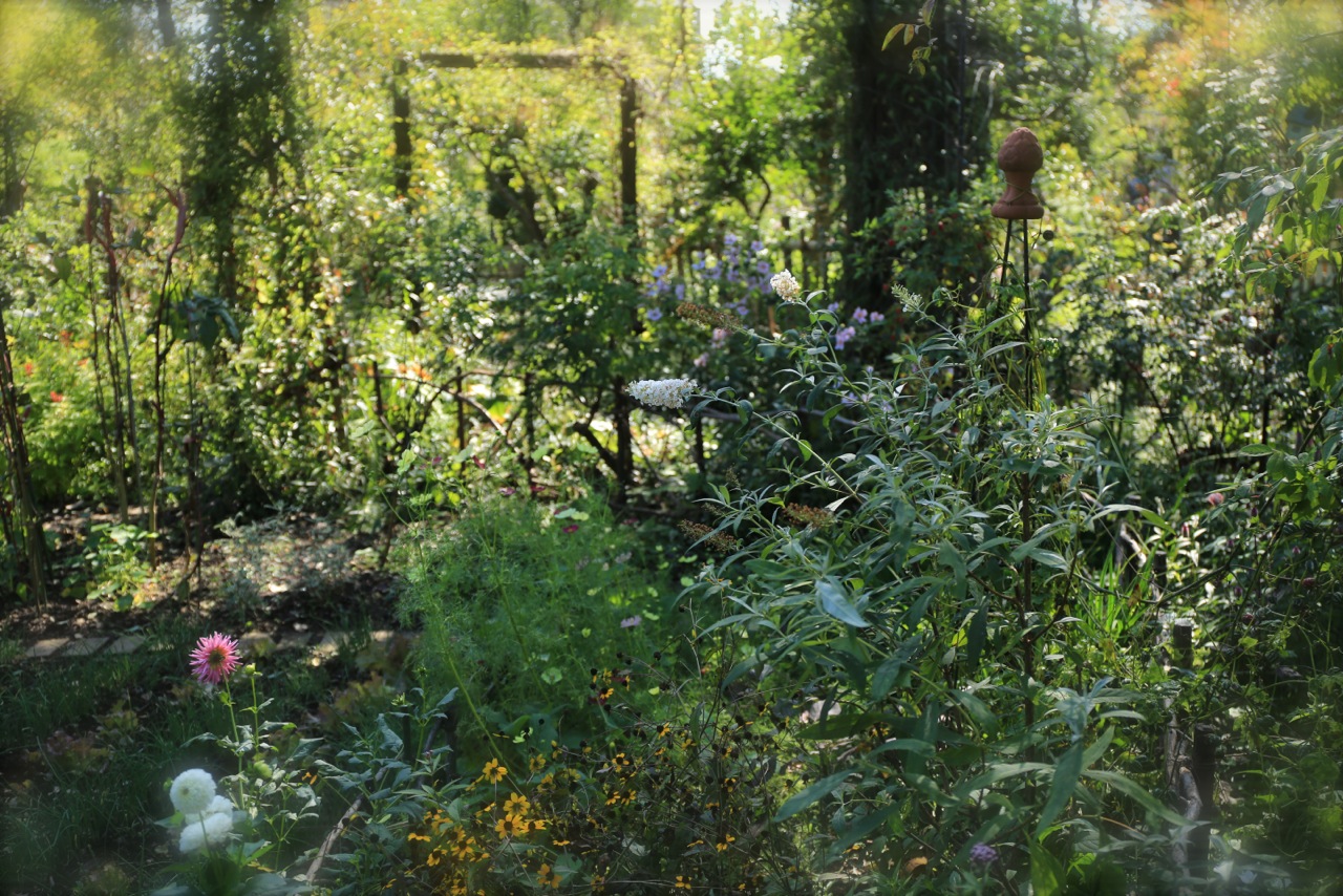 b0168859_8304749.jpg