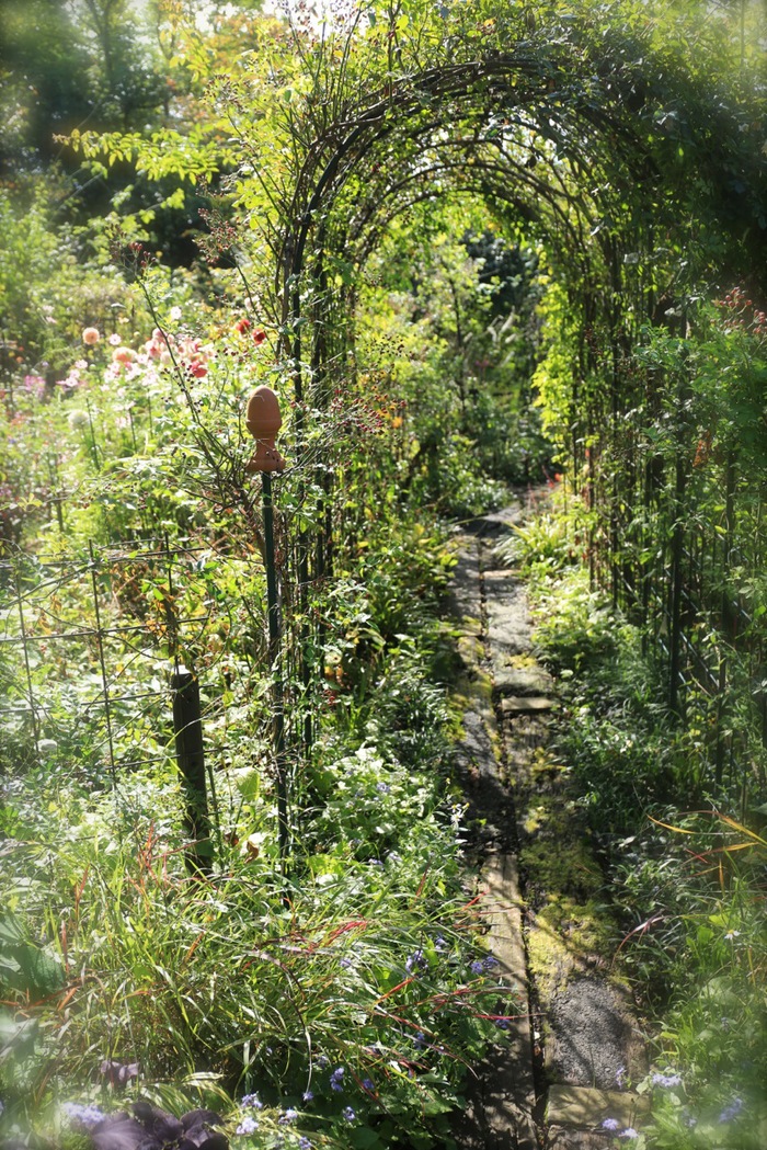 b0168859_8332766.jpg