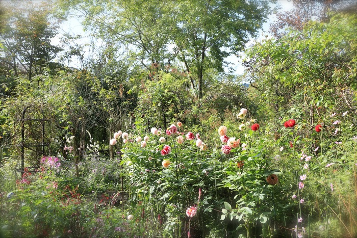 b0168859_8362496.jpg