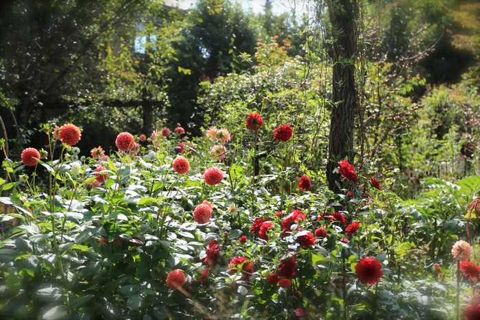 b0168859_836598.jpg
