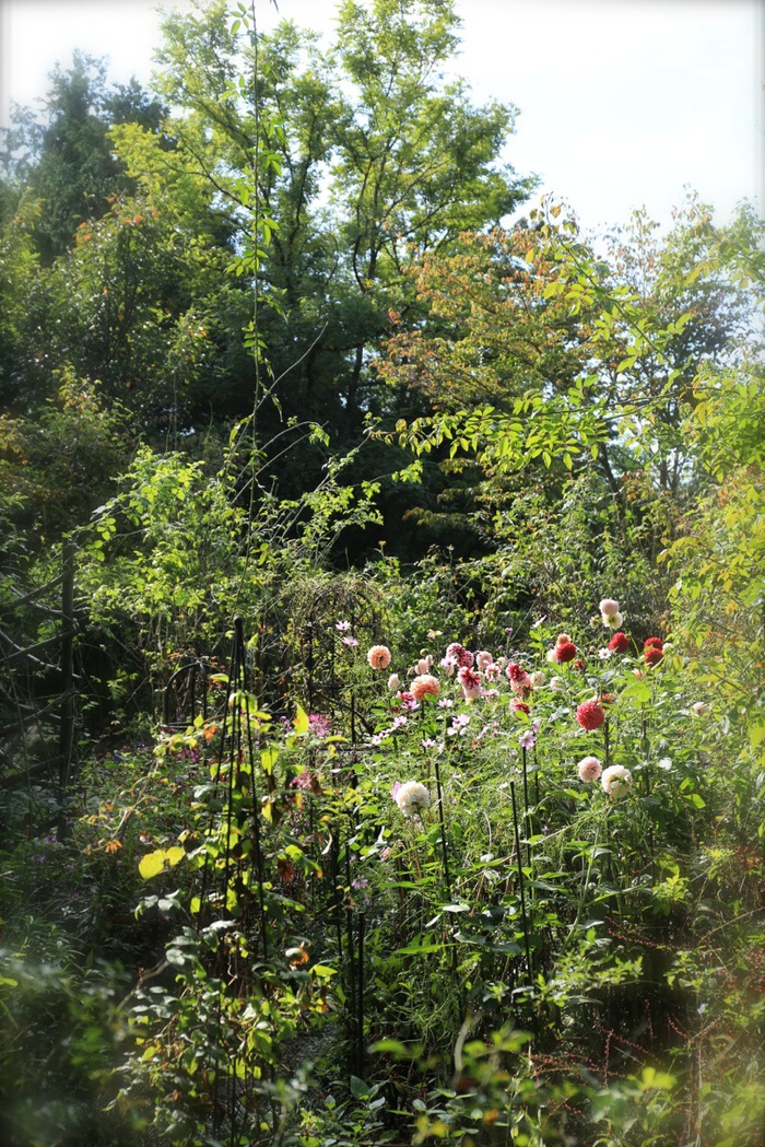 b0168859_8393069.jpg