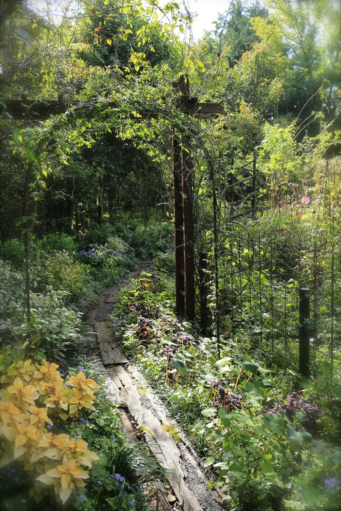 b0168859_840514.jpg