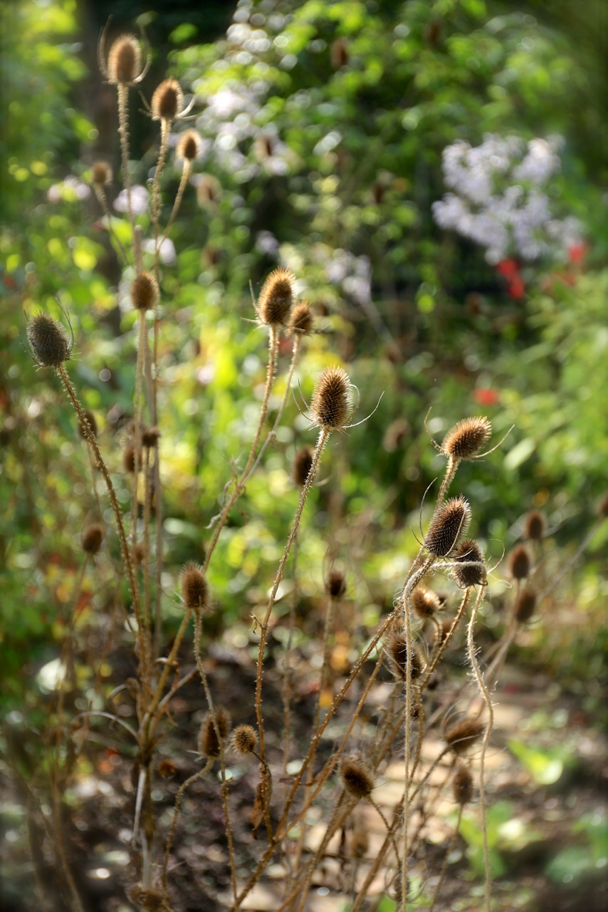 b0168859_8422153.jpg