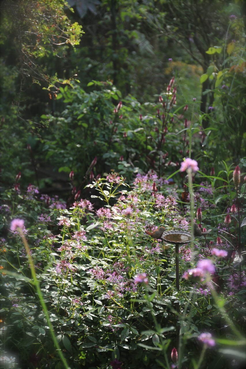 b0168859_8431020.jpg